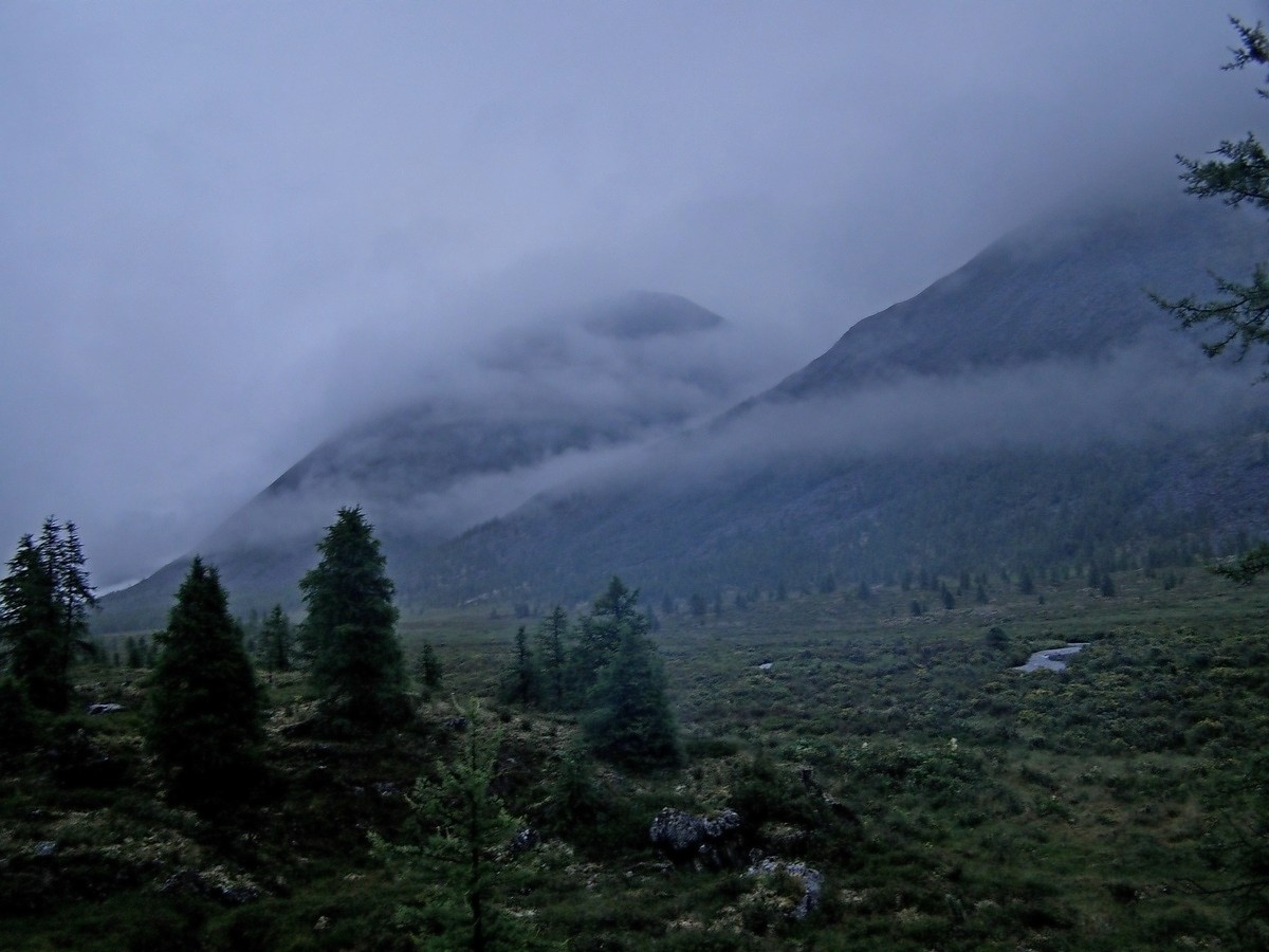Nimbostratus - ,     