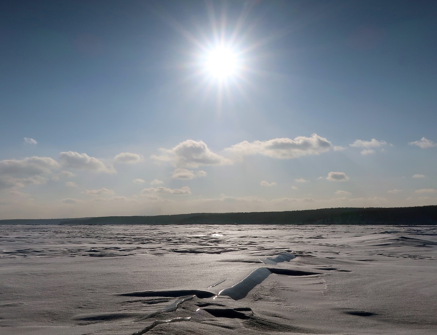 ������ �����