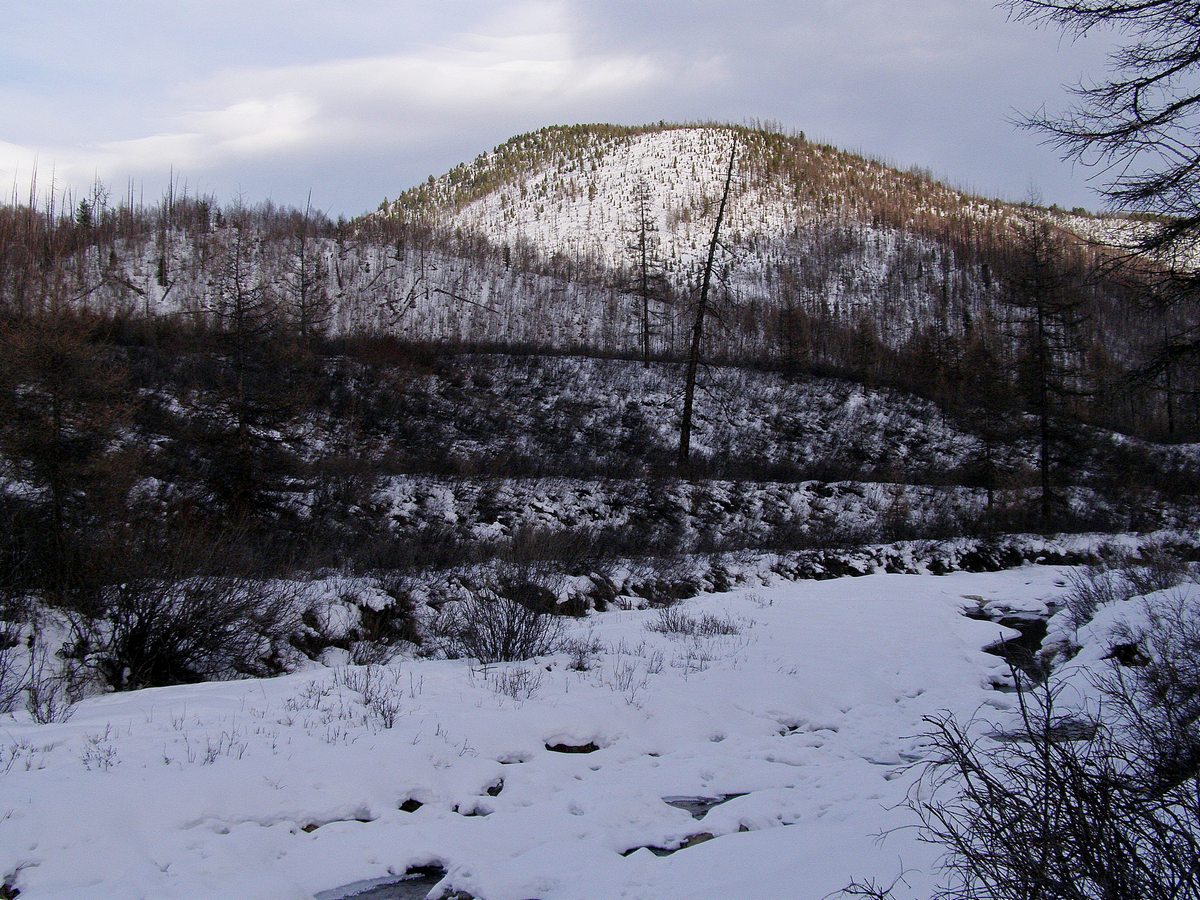 Террасы