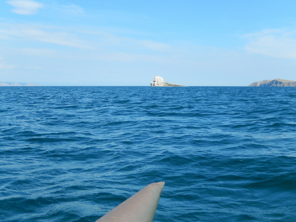 ������ ���� (����)