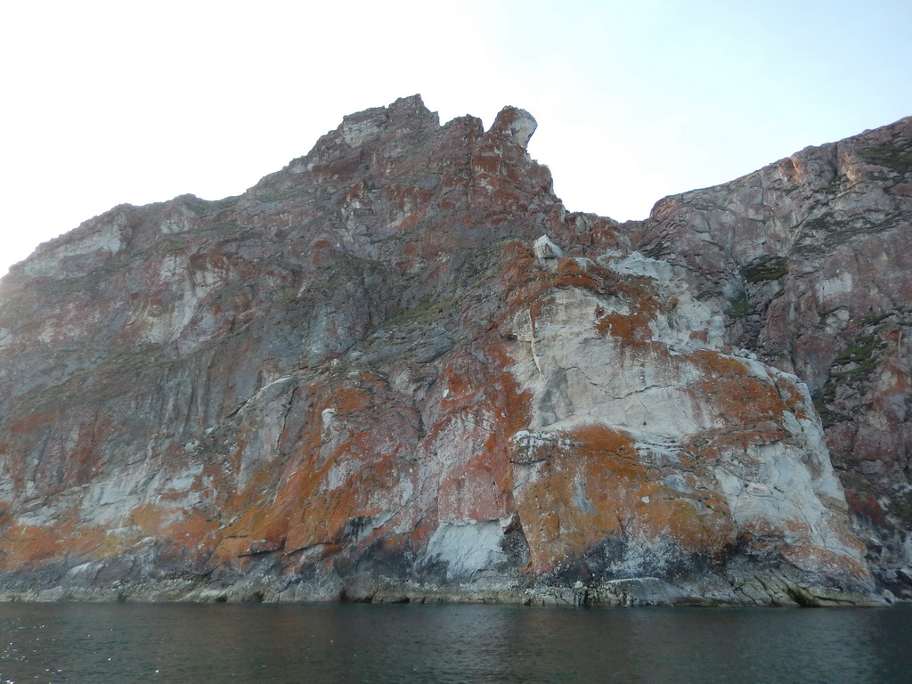 ����� ���� ����� - �����