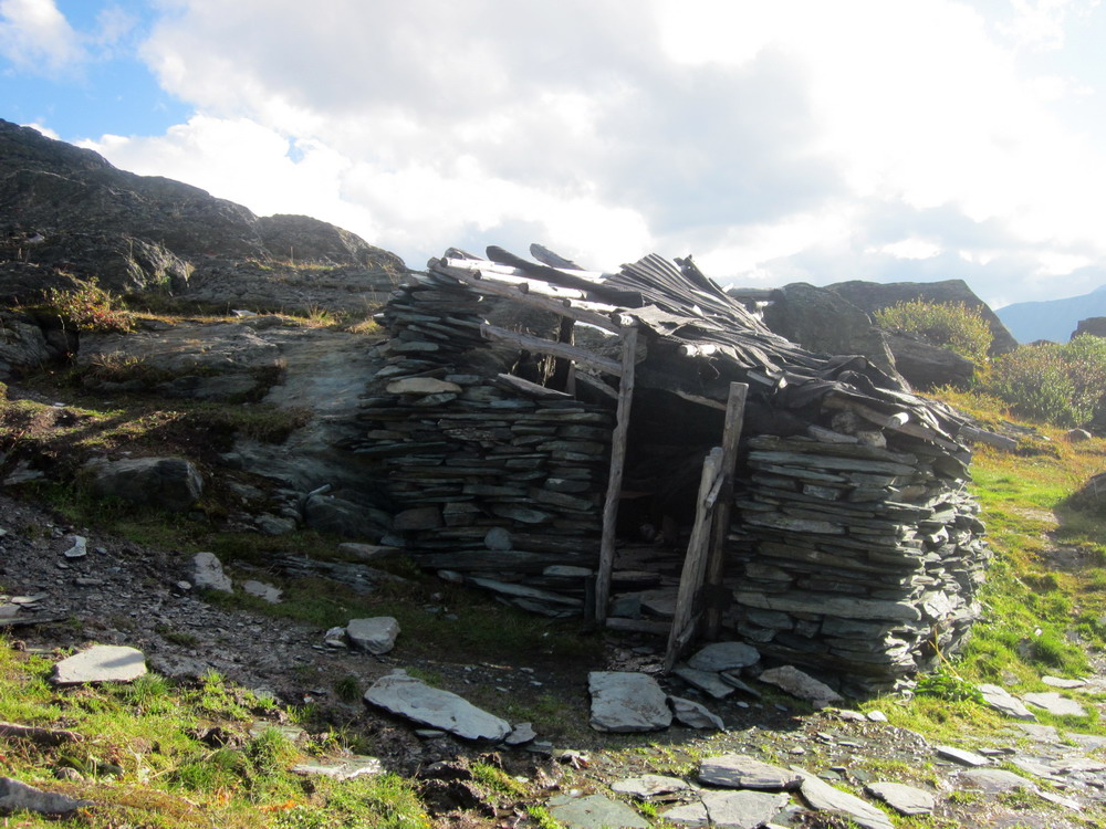 �������� ���� ��� �����������