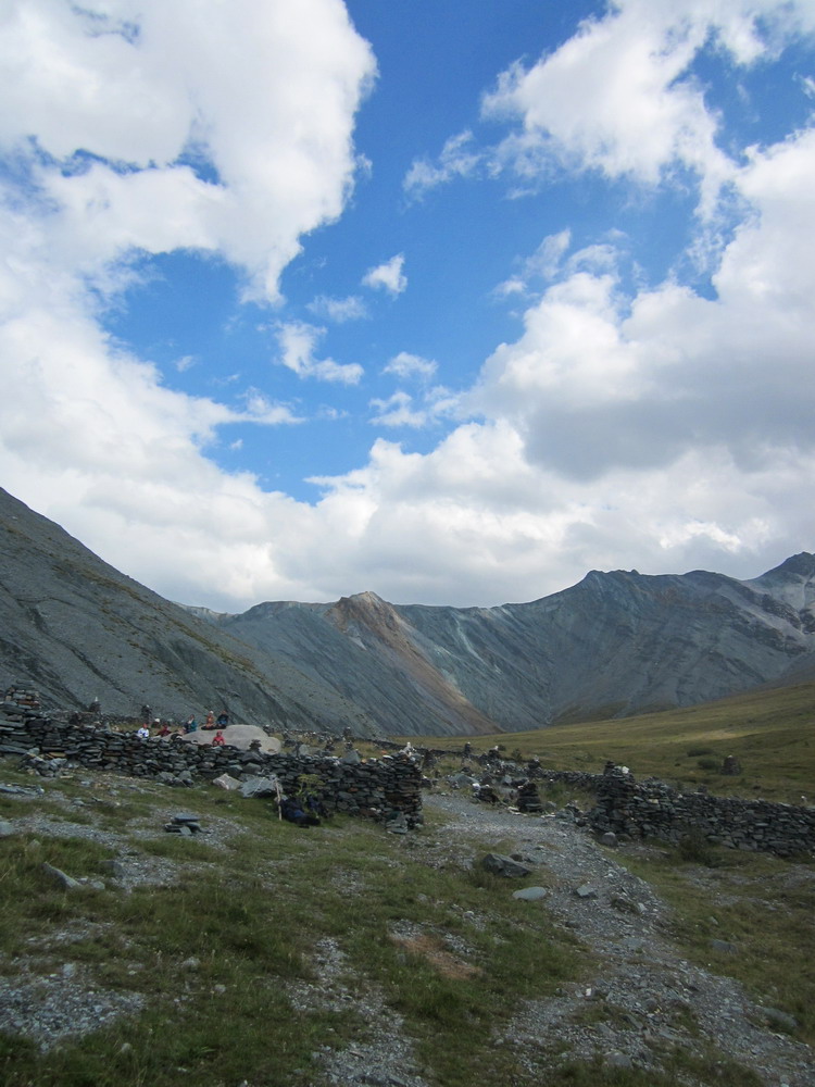 ����� ����