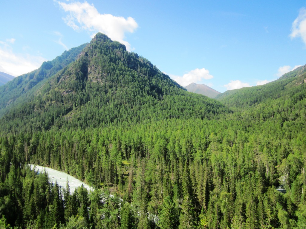 ���� �������