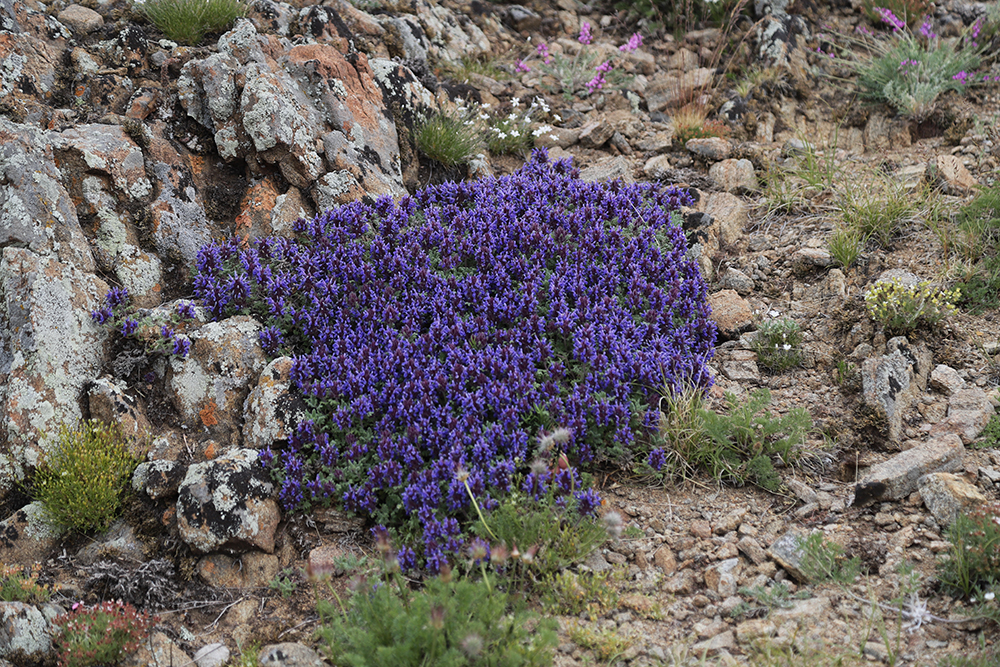 ������������?