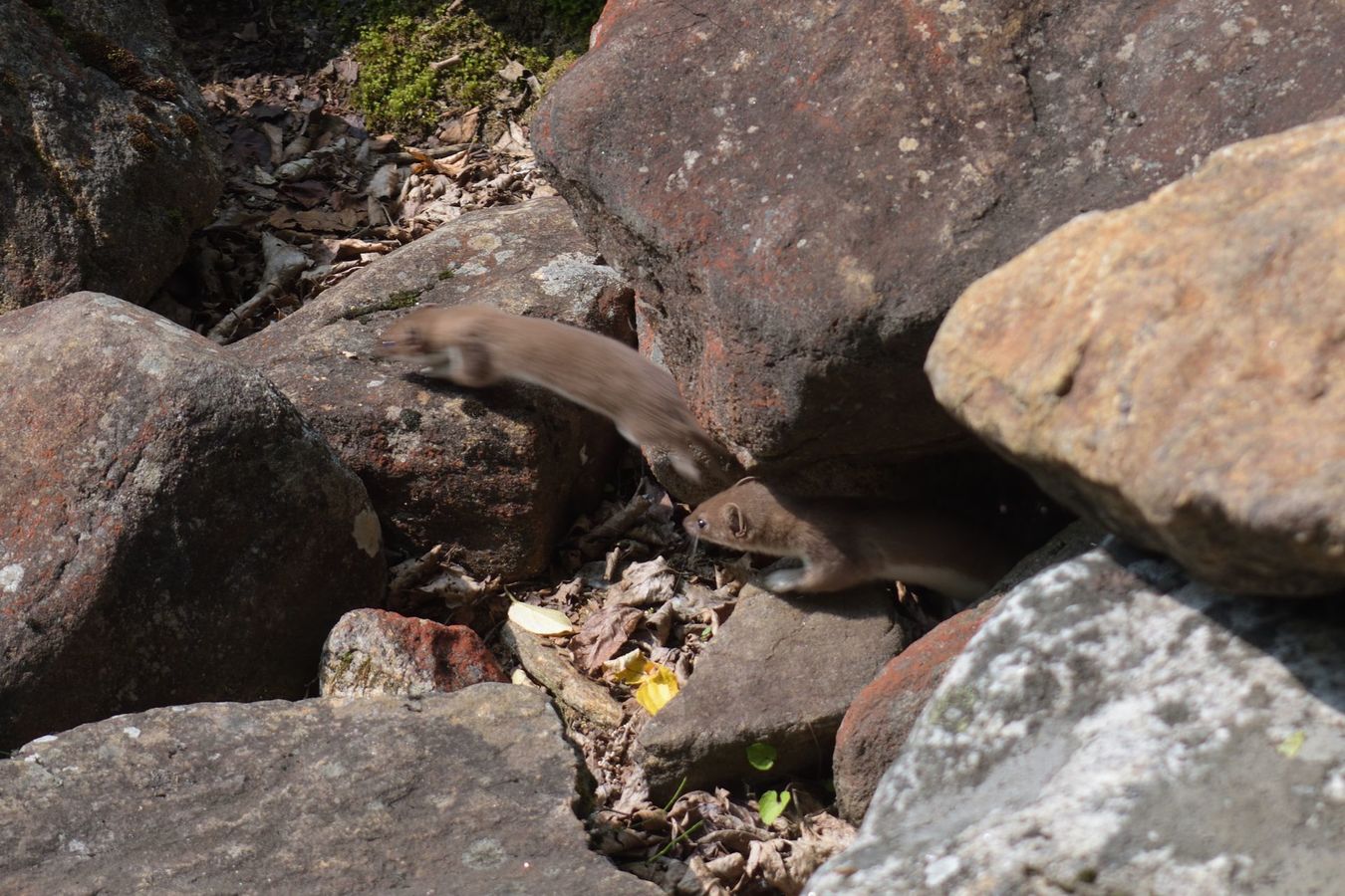 ��������� �� ���� ��������