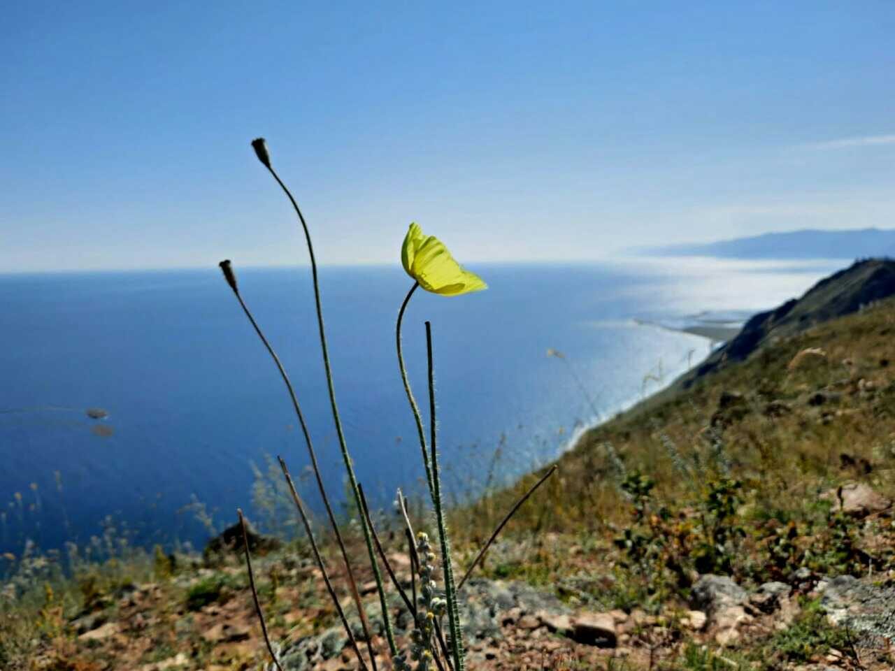 ������. �� ������� 2010-2021