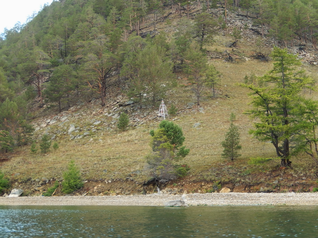 ����� ���� ����