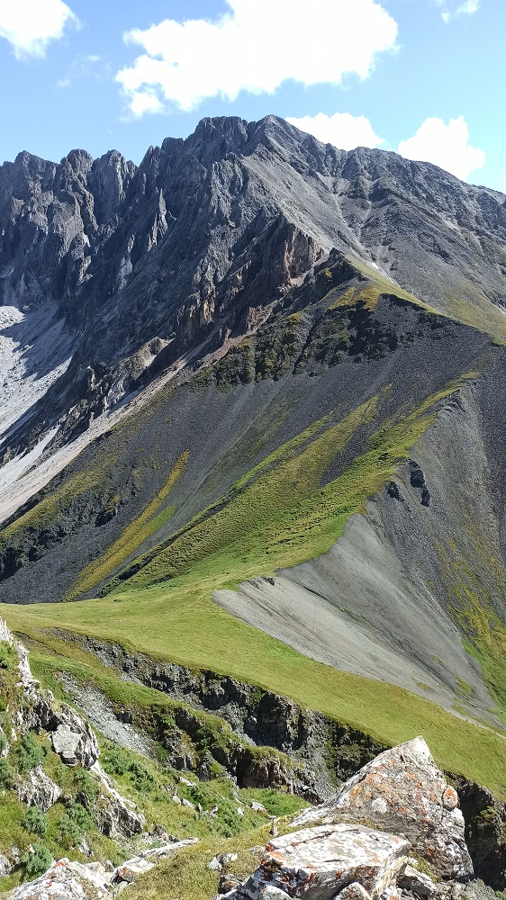 ������� ��� ���������