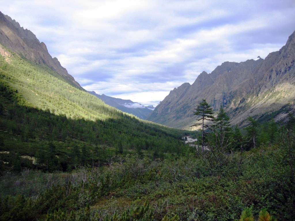 ����� ������� �� ������ � ���������� ������ �� ���� �������