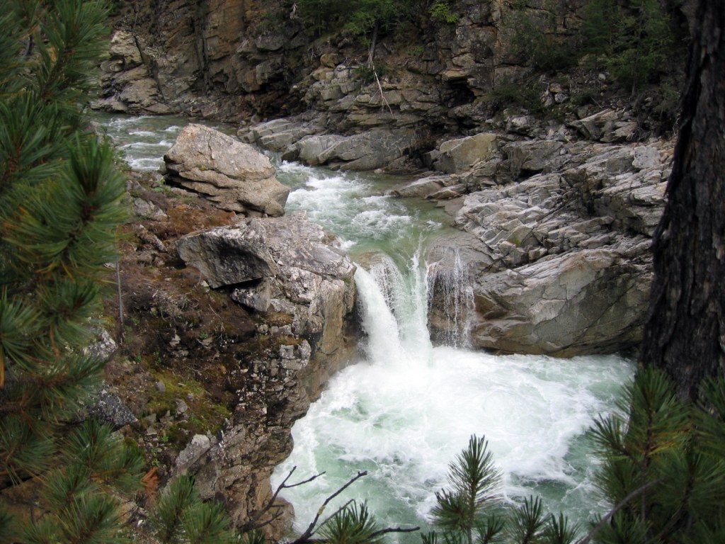 ������ ��������