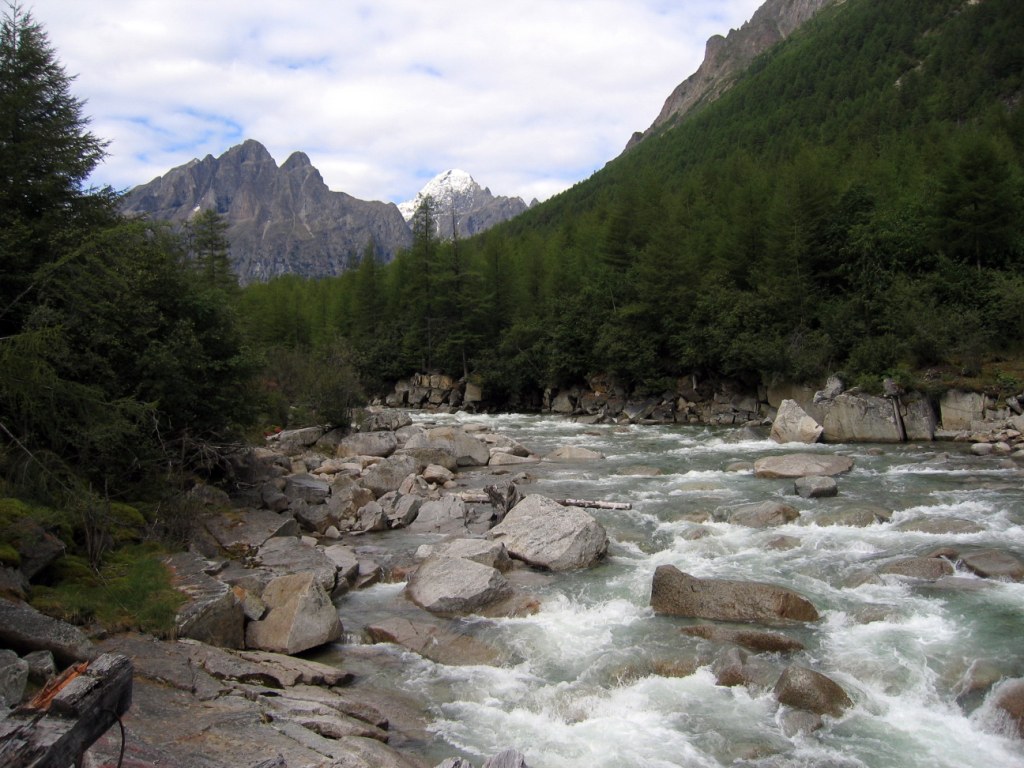 ��� ����� �� ������� � ������������ ����� �� ��������