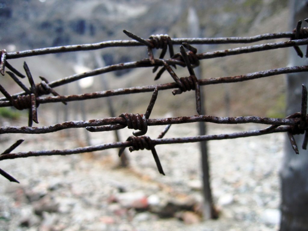 ������� ������� ������