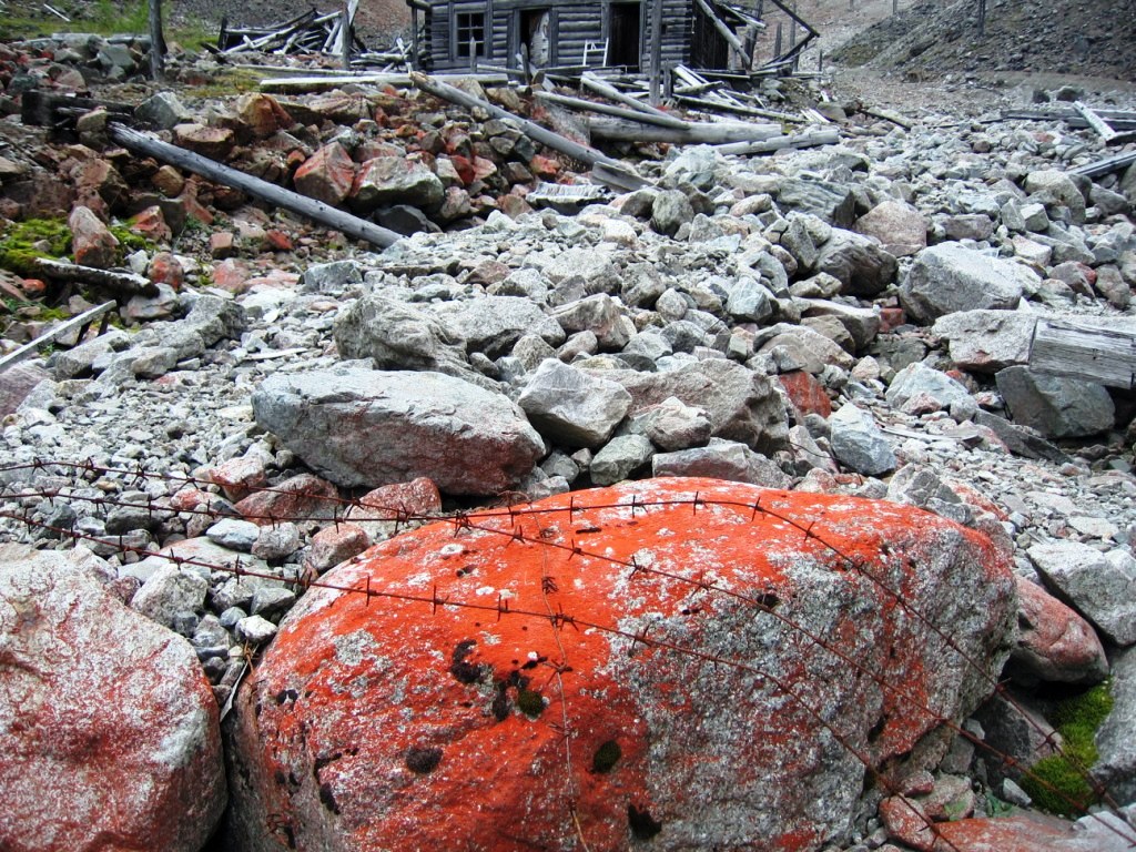 "��������" ��������� �������