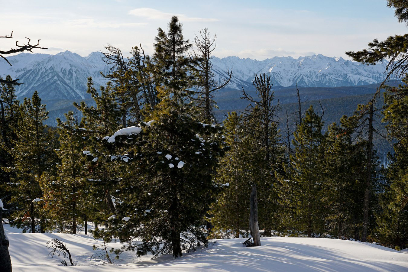 ��� � �.������� �� ���-�����