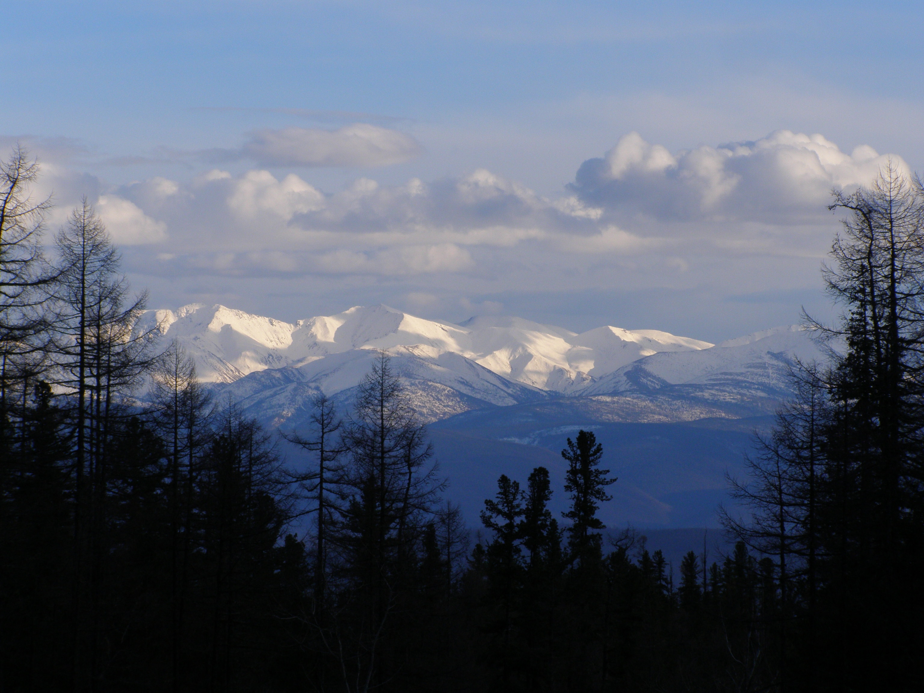 ���� � ���� ��� ����������� �������