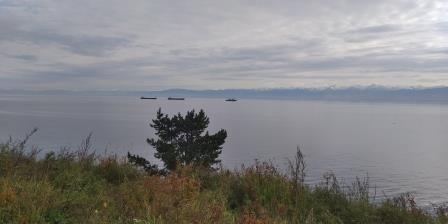 ����������. �������� �������