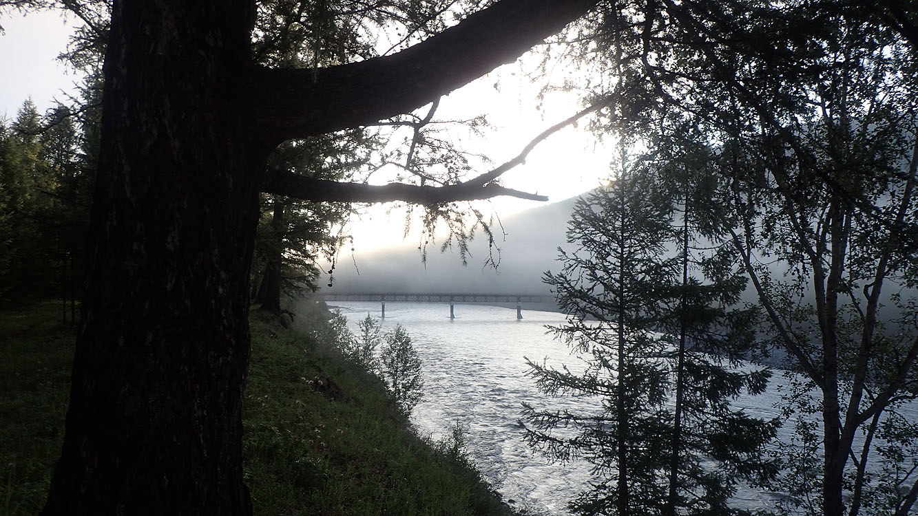 ����� ��� ����