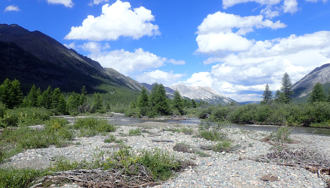 �. ���������, ����� ����� �� ������ �����