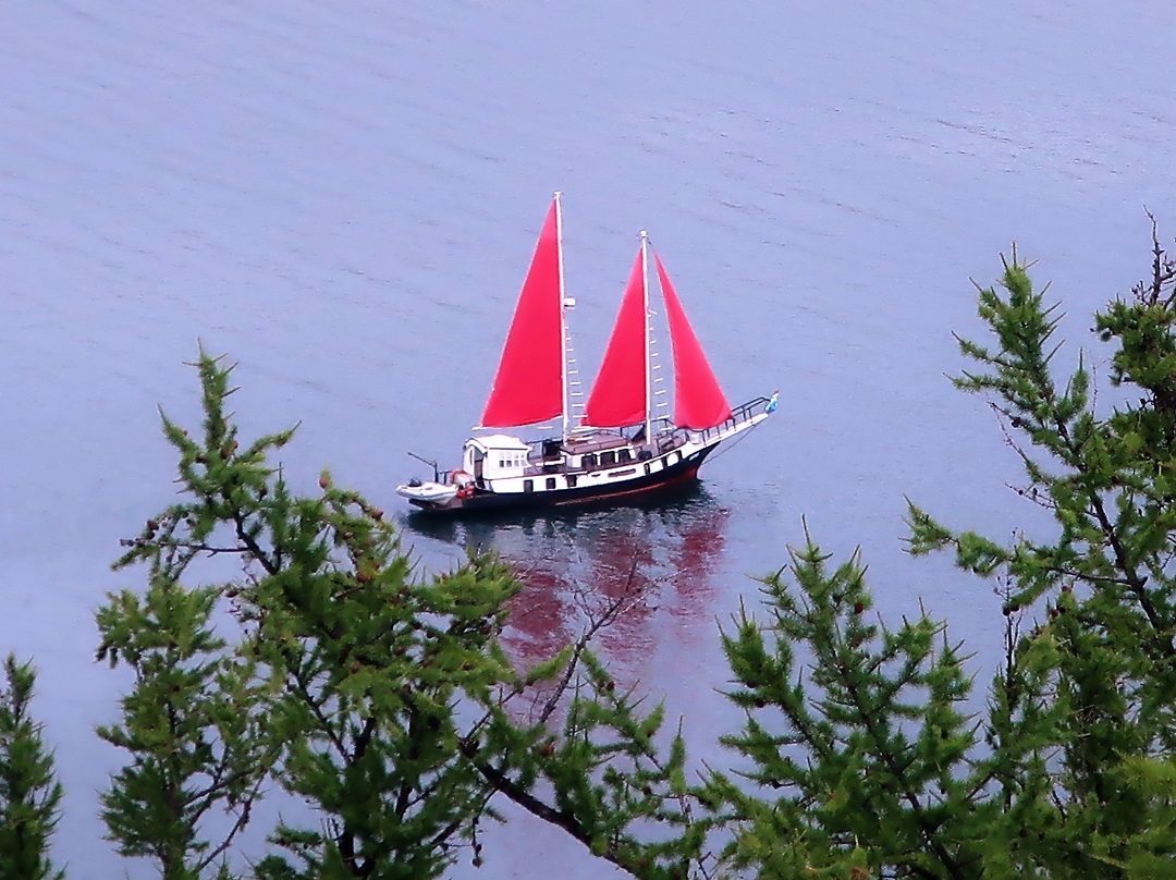 ���� �������