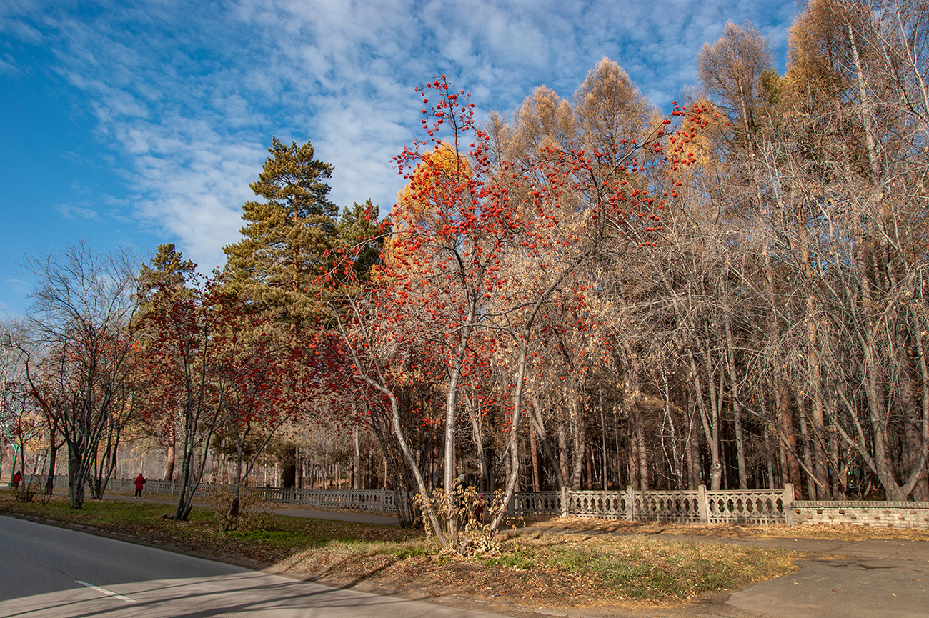Осень в разгаре