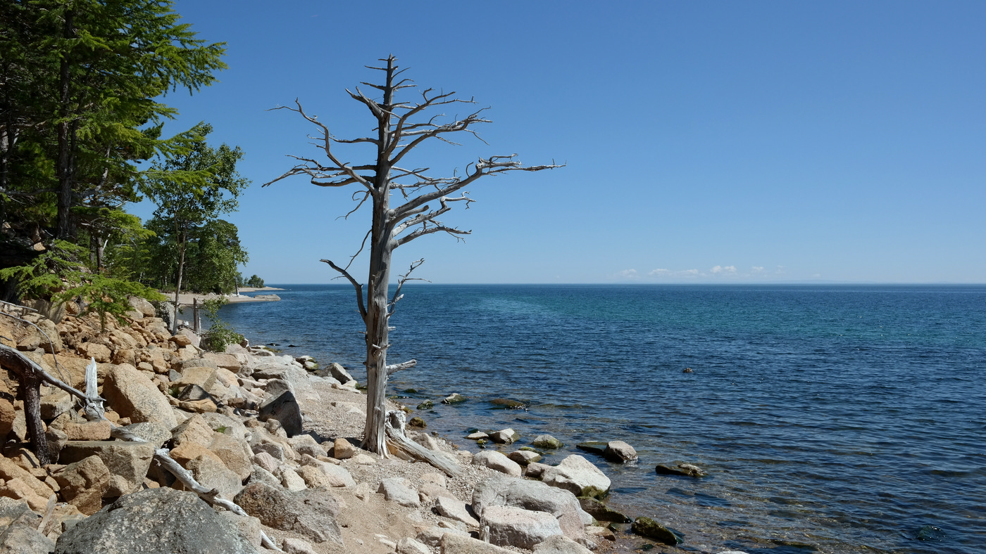 "����������� �����"