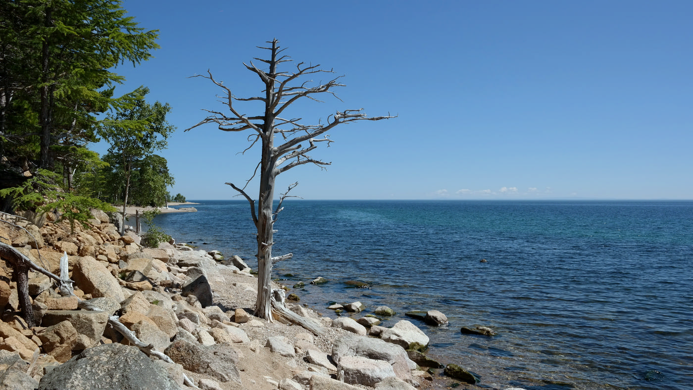 "����������� �����"