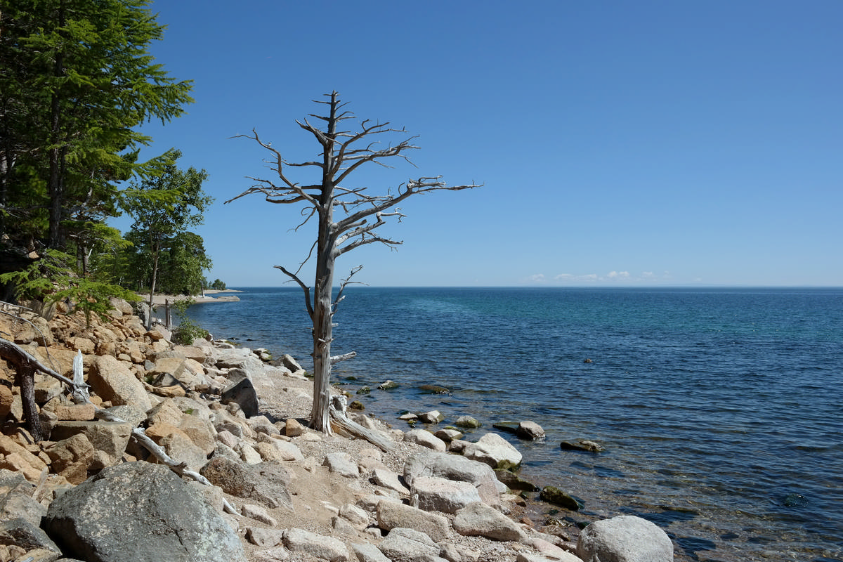 "����������� �����" 2