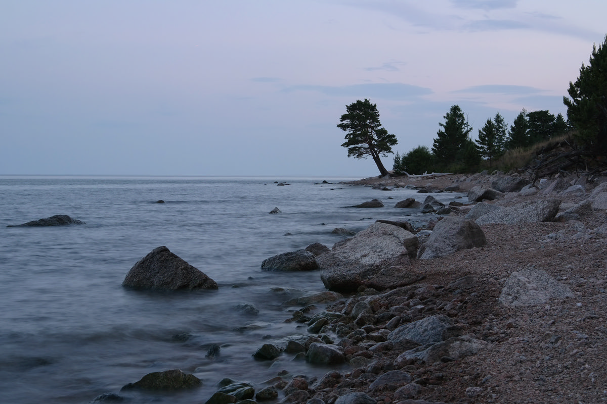 ����� ����