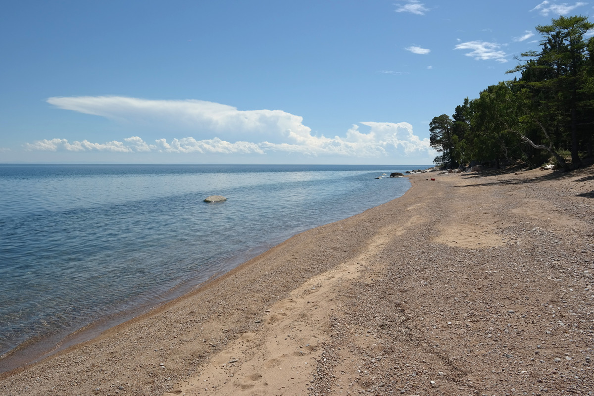 ��� ����� ���������