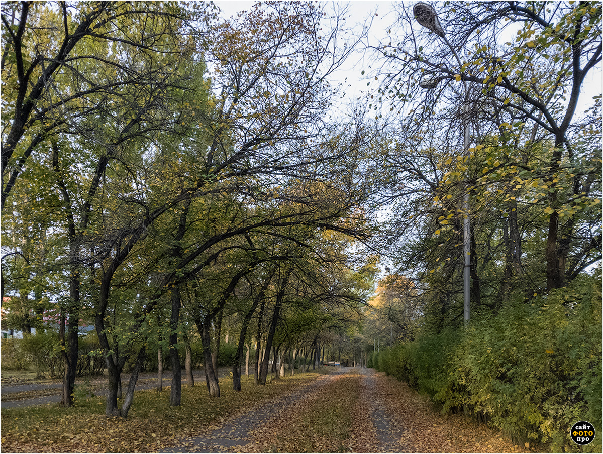 Осень в парке
