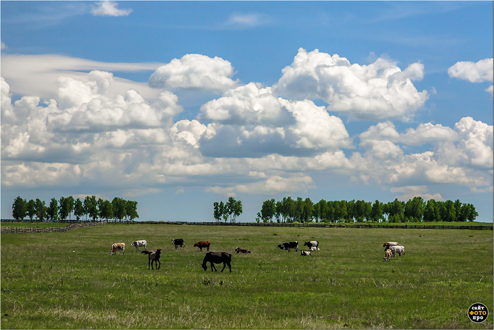Под облаками_фото2