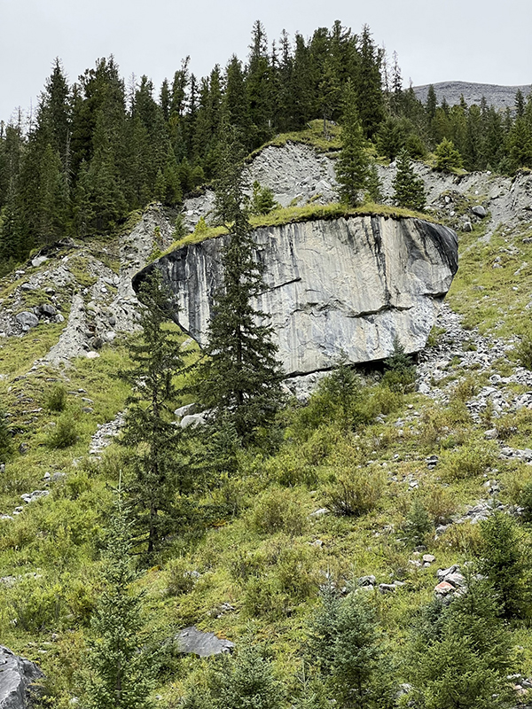 107. ������ �� ������ ������ ��������