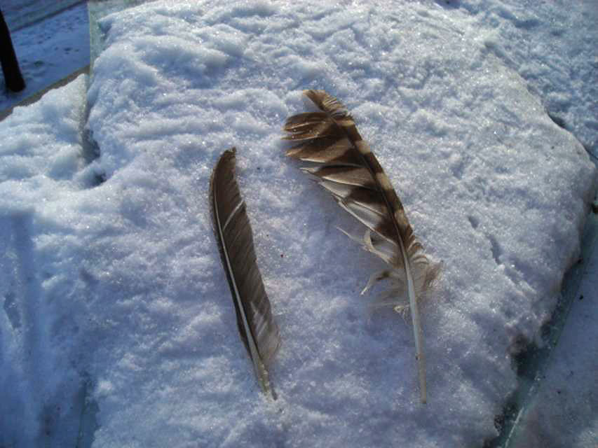 ��� �������?