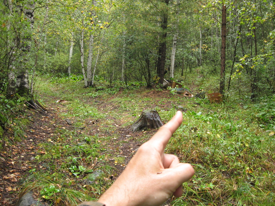 ��� Mikka. ��������� ��������