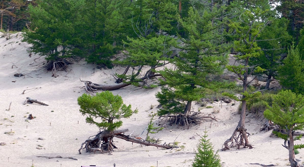 ��������� �������