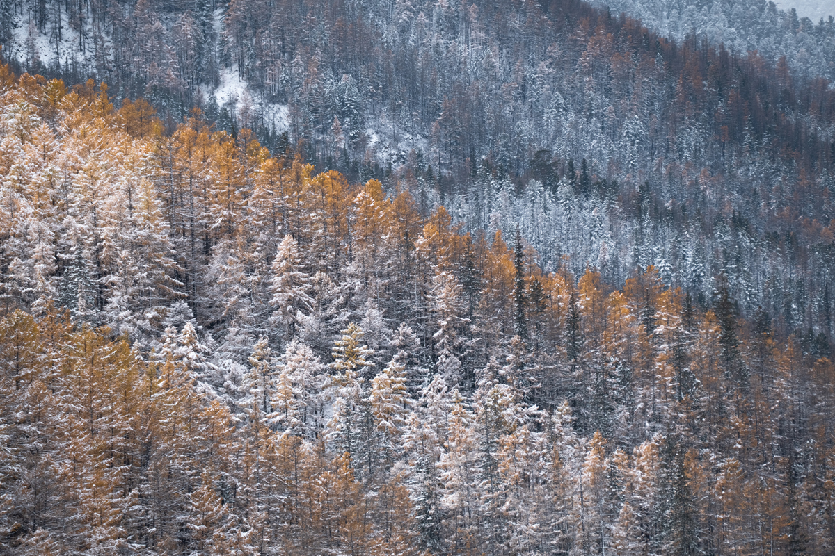 Осень-зима