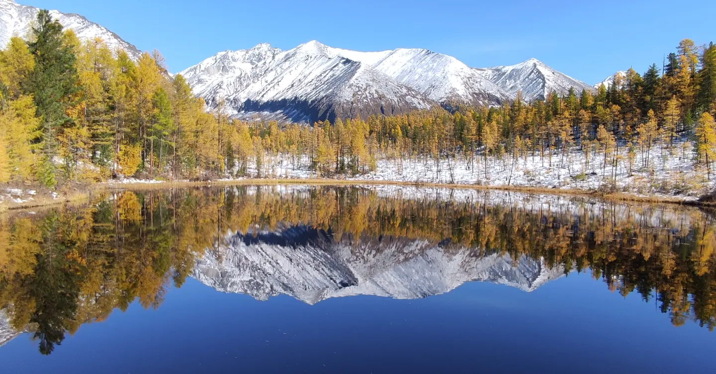 �������� ��������� �����