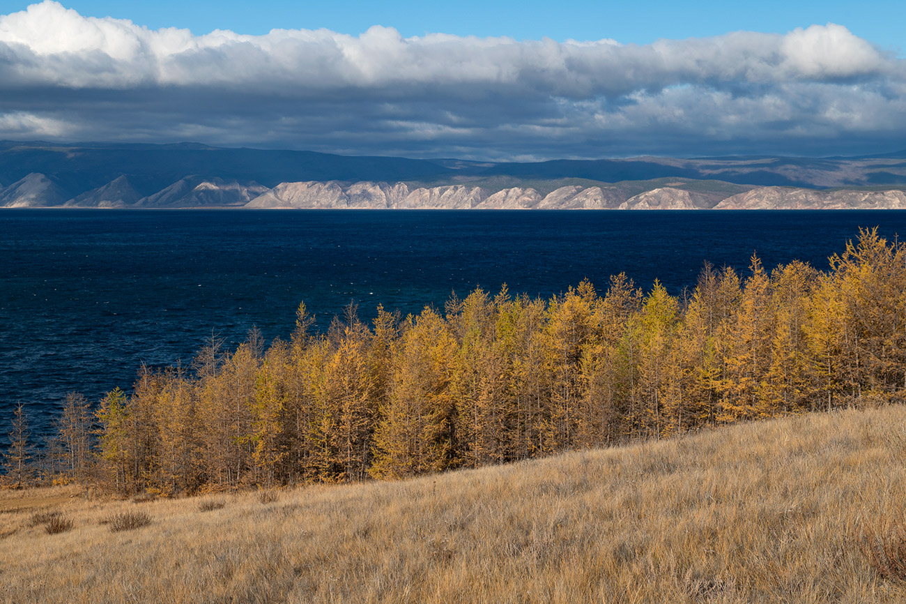 Море синее