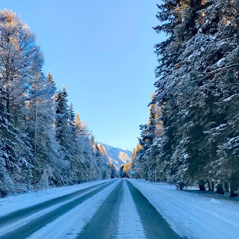 ������ �������