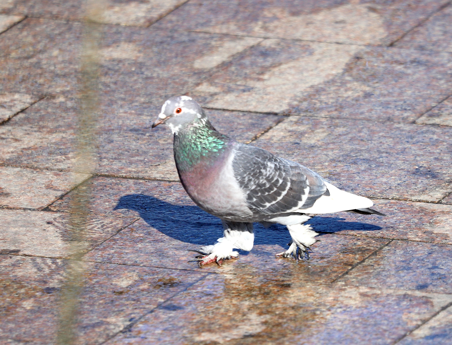 ������ � ���������