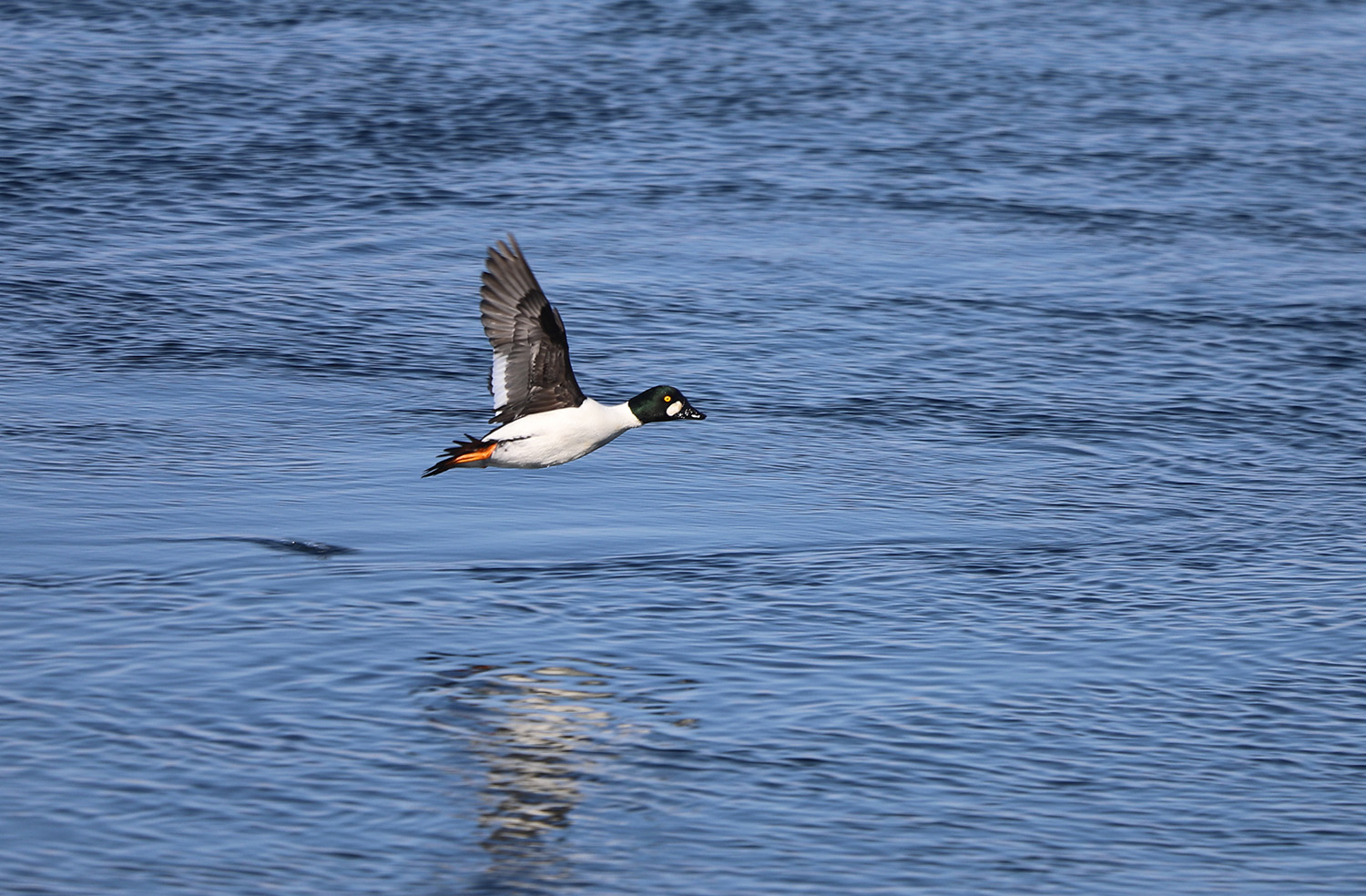 ��� �������� ������� ������