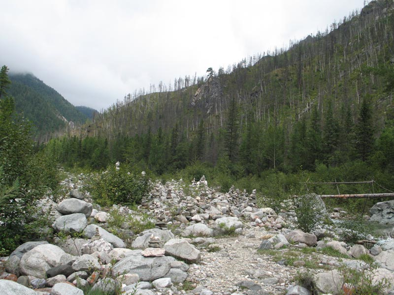 ���� �������