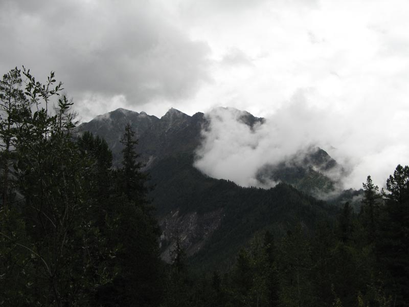 ������ �����