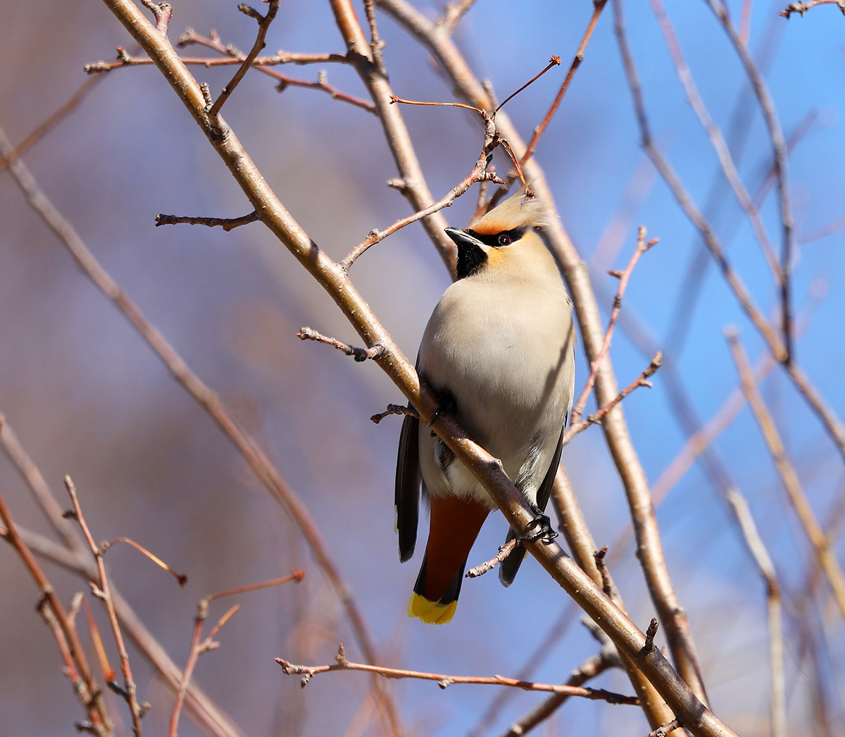 ������.��������.���������