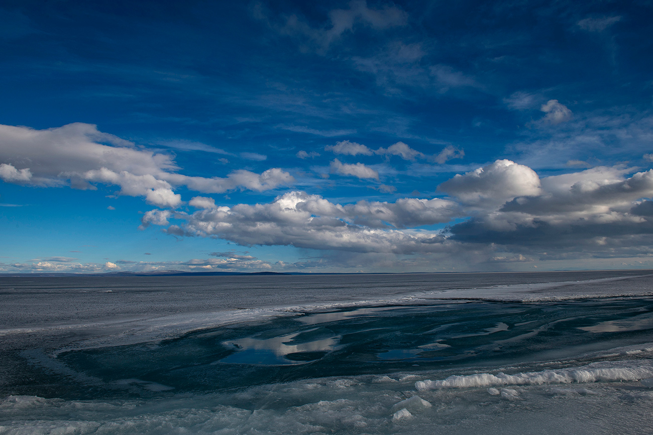 ������ ��� ������