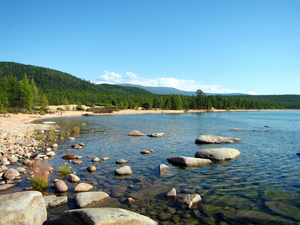 ���� �����������