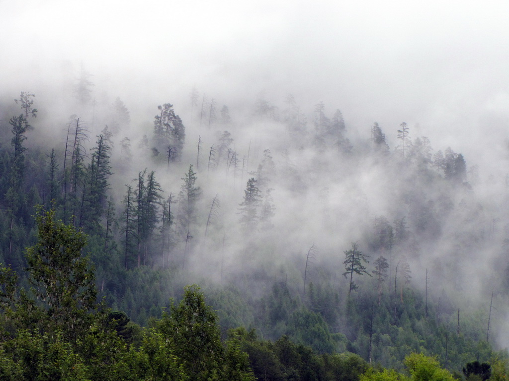 ����� � ������ ����� ��������