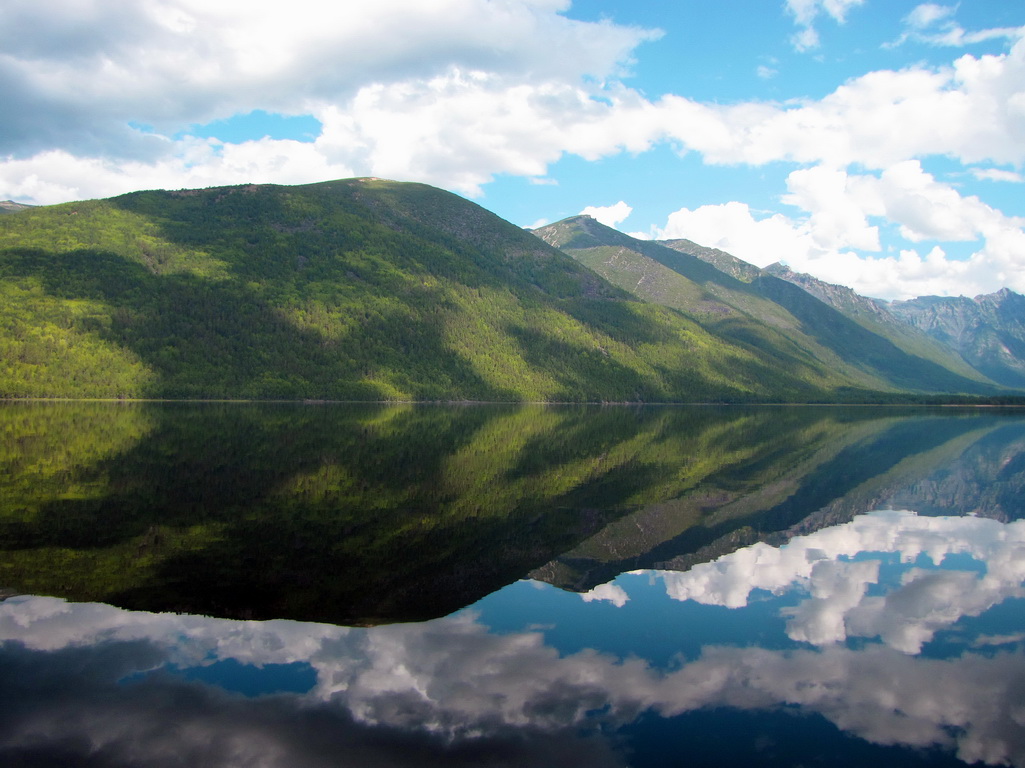 � ������� ����� �������