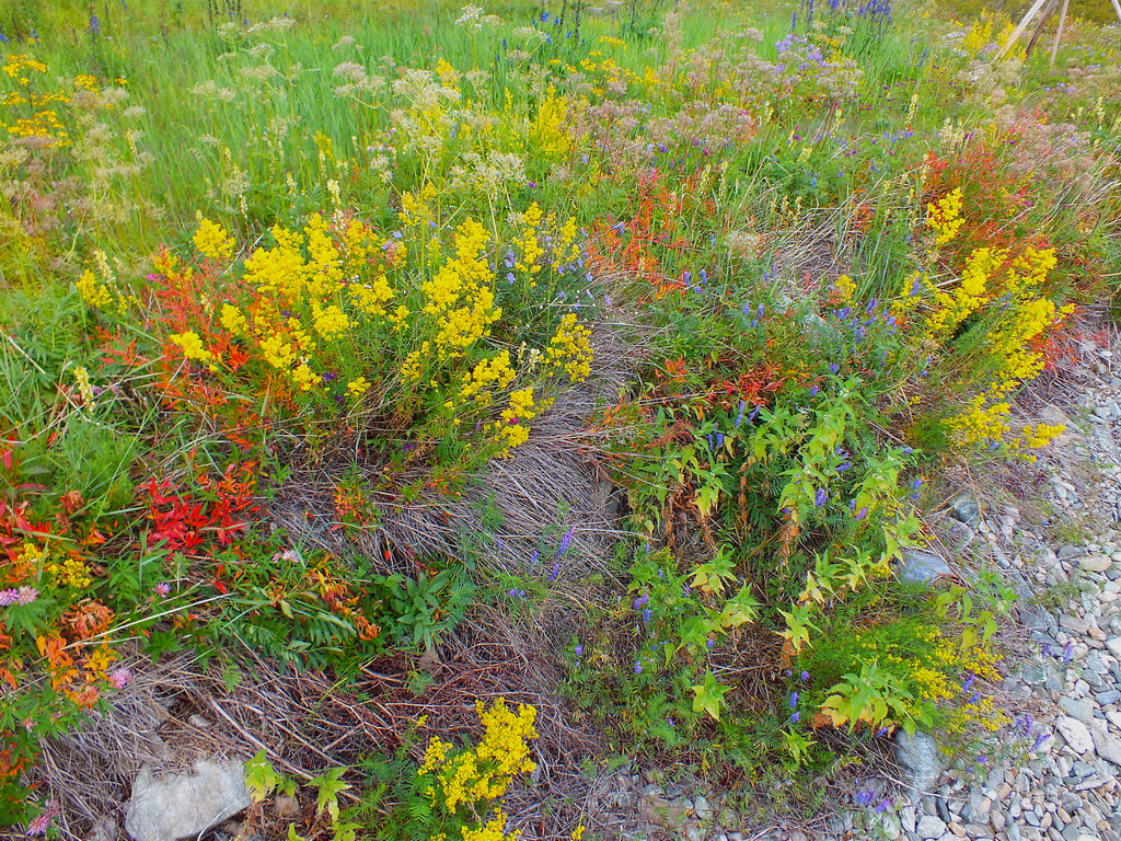 ����������� ��������� ��������� ������� ����